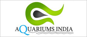 Web design for Aquariums Online Store in Howrah, Kolkata