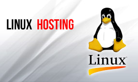 Linux hosting kolkata | web hosting India