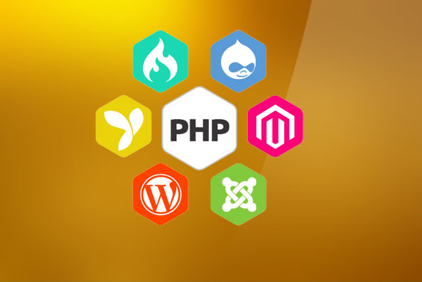 PHP Programmer, PHP developer India, Custom Php Advanced